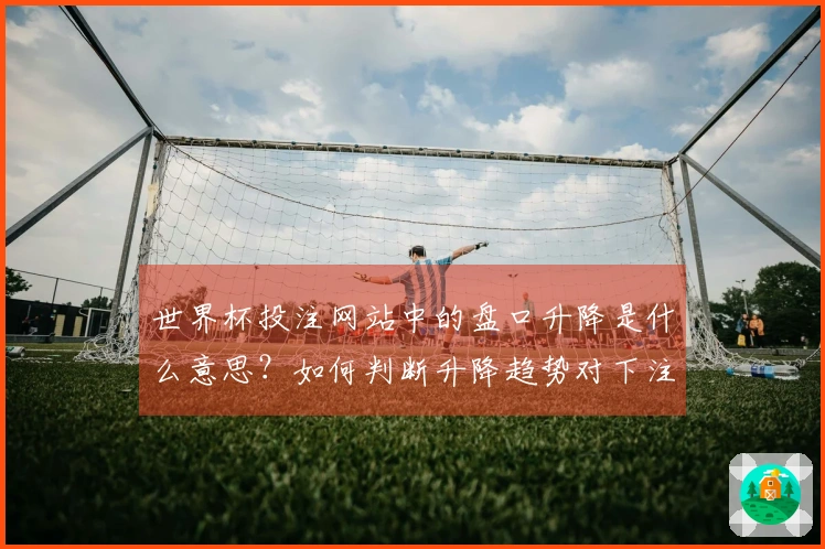 世界杯投注网站中的盘口升降是什么意思?如何判断升降趋势对下注的影响?
