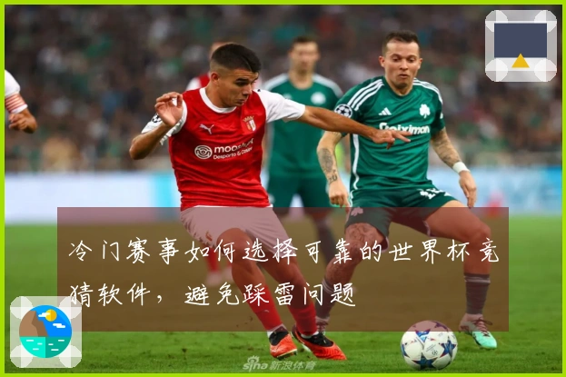 冷门赛事如何选择可靠的世界杯竞猜软件，避免踩雷问题